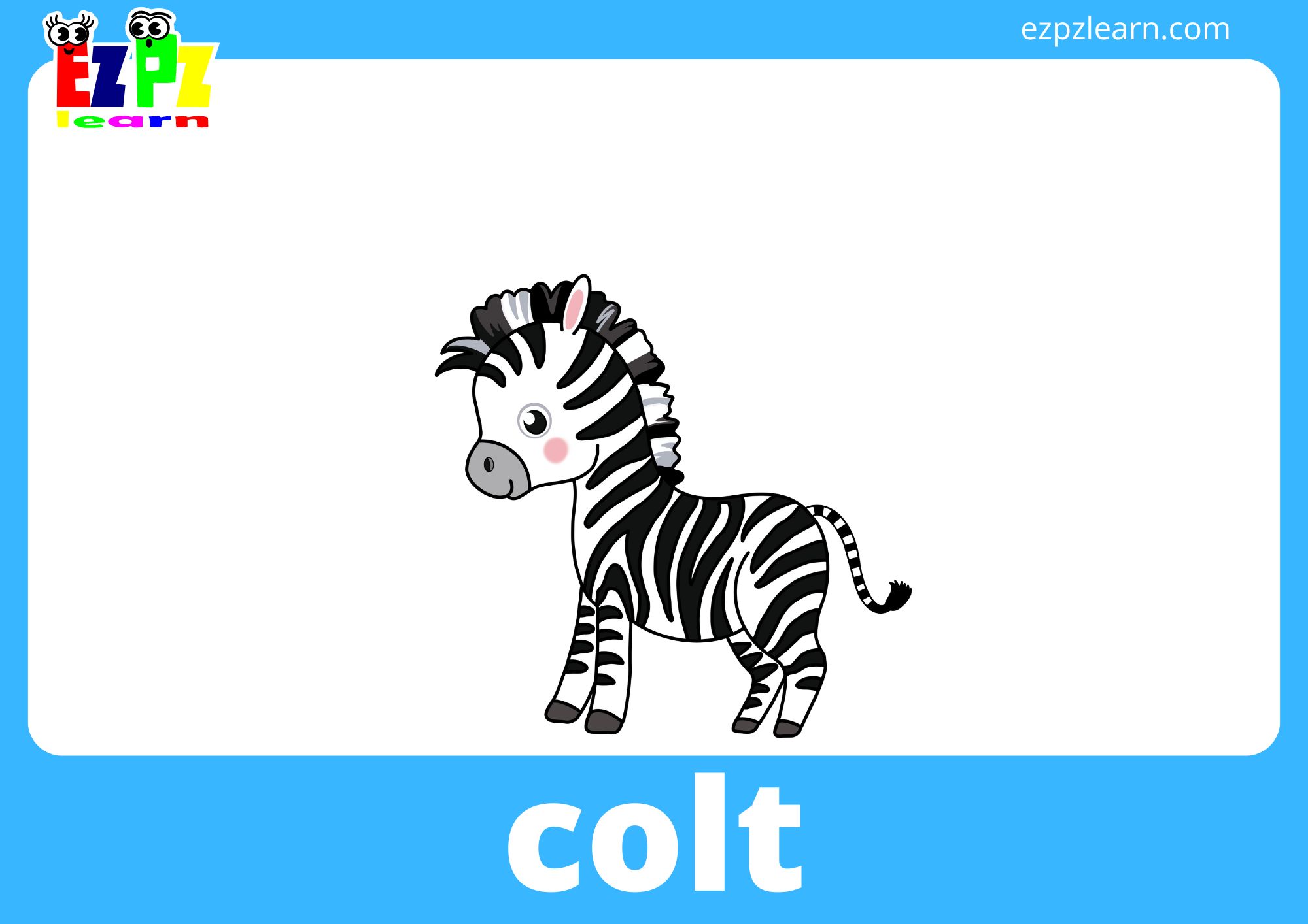 colt